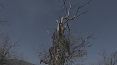 Sonbahar sabahının kırsal köyünün manzaralı görüntüleri