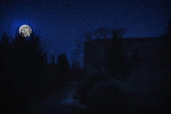 Bela Paisagem Construção Floresta Noite Com Lua Estrelas Casa Abandonada — Fotografia de Stock