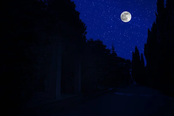 夜晚与月亮和星星在森林里筑成美丽的风景 可怕的被遗弃的房子在夜晚与鬼魂在一起 寒冷的秋夜 — 图库照片
