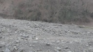 Maskeli ve tüfekli bir adam ormana saldırmaya hazır. Silah doğrultan tehlikeli bir haydut. Dağ yolundaki askeri harekat sırasında özel asker..