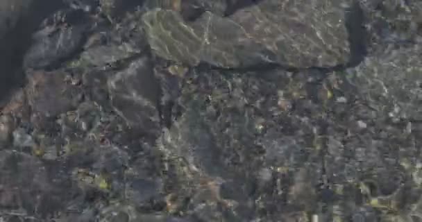 Nahaufnahmen Von Kieselsteinen Unter Wasser Des Gebirgsflusses — Stockvideo