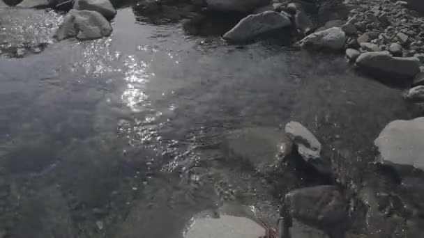 Κοντινό Πλάνο Πέτρες Από Βότσαλα Κάτω Από Νερό Του Ορεινού — Αρχείο Βίντεο