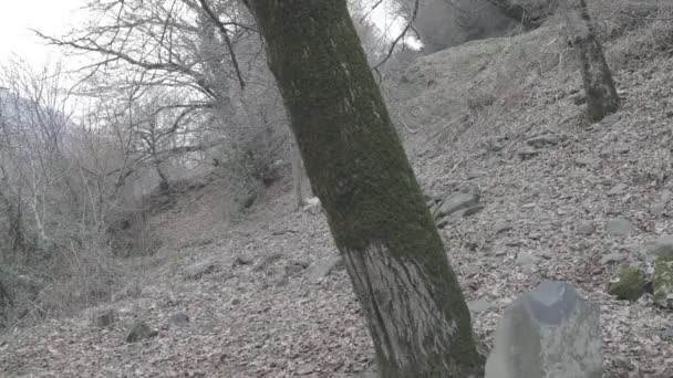 Maskierter Mann Mit Sturmgewehr Bereit Zum Angriff Wald Gefährliche Banditen — Stockvideo