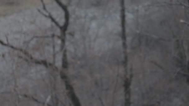 Обрізані Кадри Бандитської Прицільної Гвинтівки Природі — стокове відео