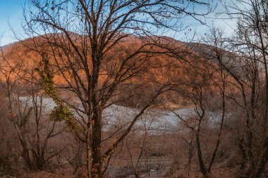Renkli sonbahar ormanıyla muhteşem bir manzara. Sonbaharda akşamları boş yollar, ağaçlar ve güneş ışığı olan güzel bir manzara. Seyahat geçmişi. Doğa