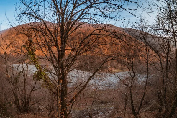Renkli sonbahar ormanıyla muhteşem bir manzara. Sonbaharda akşamları boş yollar, ağaçlar ve güneş ışığı olan güzel bir manzara. Seyahat geçmişi. Doğa