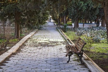 Şehir parkında boş ahşap bank. Bakü Azerbaycan