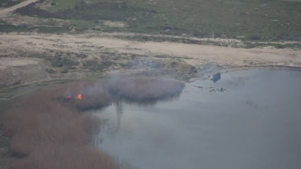 Fuego Estepa Quema Hierba Seca Fuego Humo Cerca Del Lago — Vídeos de Stock