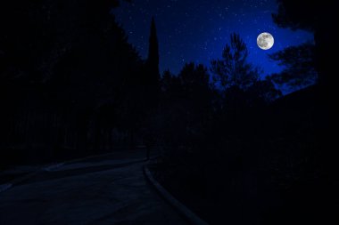 Dağ yolu ormandaki bir dolunay gecesi. Ülke yolun gece büyük moon ile doğal gece manzarası