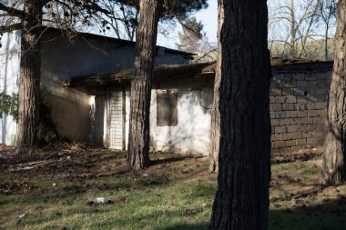 Terk edilmiş eski bir ev. Kışın gün batımında ormanda. Terk edilmiş av kulübesi ormanın ortasında, güneşin altında..