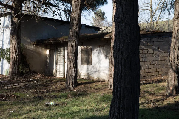 Terk edilmiş eski bir ev. Kışın gün batımında ormanda. Terk edilmiş av kulübesi ormanın ortasında, güneşin altında..