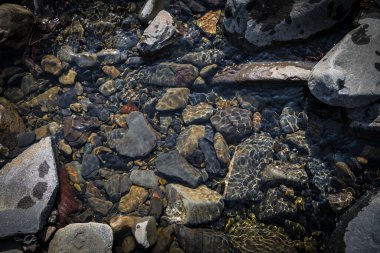 Yaz güneşi su altındaki nehir taşlarında güzel desenler yaratır. Doğa çekimi.