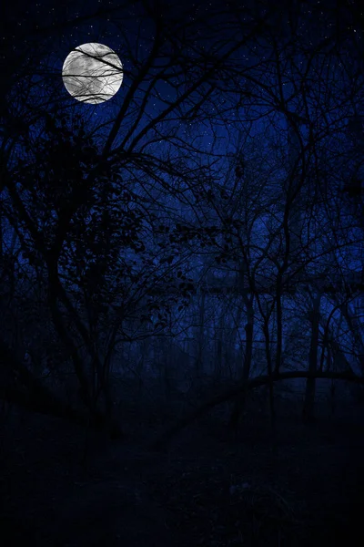 月や星と夜の森の中で建物の美しい風景 恐怖幽霊と夜の家を放棄した 寒い秋の夜 — ストック写真