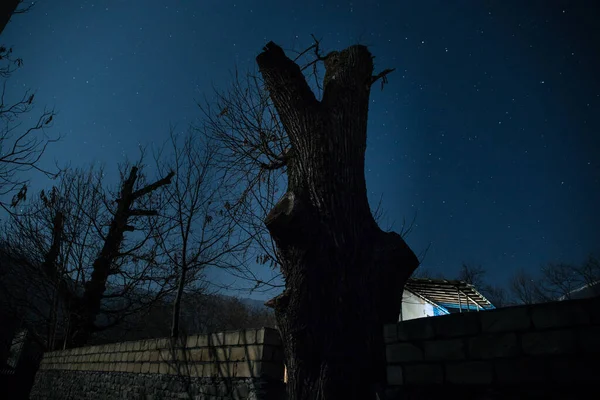 Πανσέληνος Πάνω Από Ήσυχο Χωριό Νύχτα Όμορφο Νυχτερινό Τοπίο Στο — Φωτογραφία Αρχείου