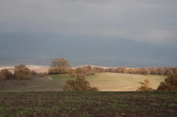 Majestueuze Herfstbomen Gloeiend Door Zonlicht Rode Gele Herfstbladeren Een Dramatische — Stockfoto