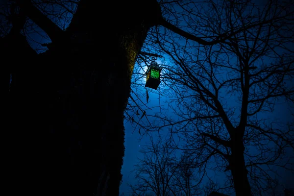 Schöne Bunte Lampe Garten Nebliger Nacht Retro Laterne Der Nacht — Stockfoto