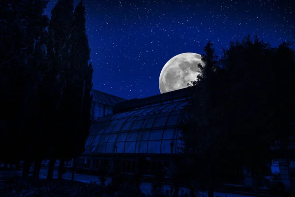 Piękny Krajobraz Budynku Lesie Nocy Księżycem Gwiazdami Straszny Opuszczony Dom — Zdjęcie stockowe