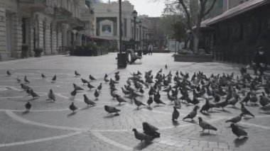 BAKU, AZERBAIJAN - 11 Nisan 2020 - Bakü, Azerbaycan. Bakü 'nün boş sokakları, Azerbaycan' ın başkenti. Covid salgını yaşanıyor