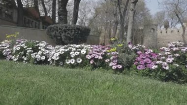 Bakü, Azerbaycan 'da güzel boş çiçek bahçesi