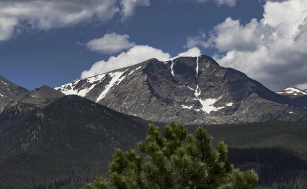 Colorado Rocky Mountains in summer — Stock Photo, Image