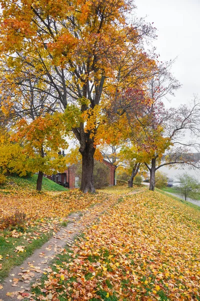 Herfst bomen in park — Stockfoto