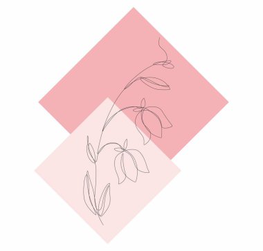 Vadi çiçeğinin zambağı, pembe arkaplanda bir çizgi, pembe kare eşkenar dörtgen arkaplan, 8 Mart, sevimli kadın, çiçek ikonu ve logosu, pembe çiçek, el çizimi, düz çizgi, düz 2d, bahar ve yaz çiçeği, güzel pembe çiçek 