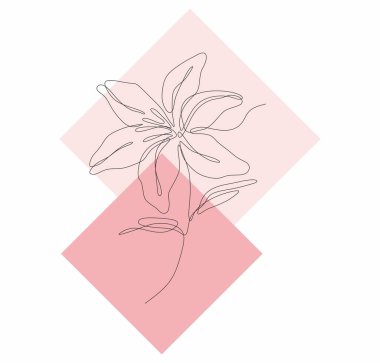 Zambak çiçeği, pembe arkaplanda tek çizgi çizimi, pembe kare eşkenar dörtgen arkaplan, 8 Mart, sevimli kadın, çiçek ikonu ve logosu, pembe çiçek, el çizimi, düz bir çizgi, düz 2d, bahar ve yaz çiçeği, güzel pembe illüstrasyon