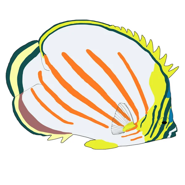 Ilustrasi Vektor Butterflyfish ornamen - Stok Vektor