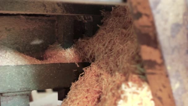 la chute de sciure sous la machine 