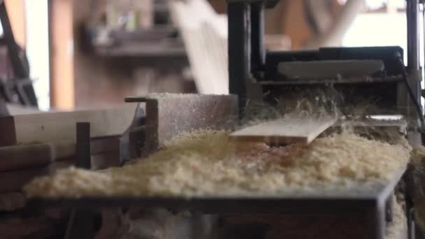 Tagliatrice di legno — Video Stock