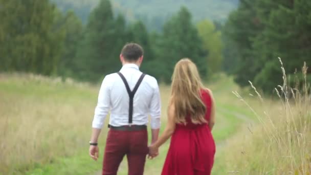 Couple walking in the forest hand — Stock Video