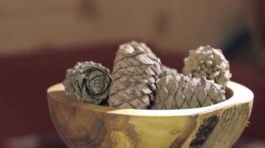 Çam koni açılış Timelapse