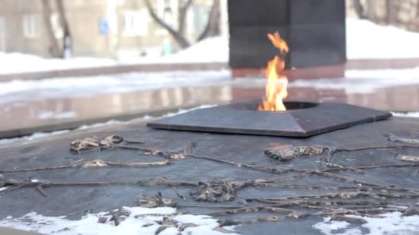 Chama eterna sobre o monumento ao soldado desconhecido da Segunda Guerra Mundial — Vídeo de Stock