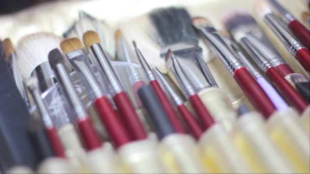 Escovas de maquiagem são — Vídeo de Stock