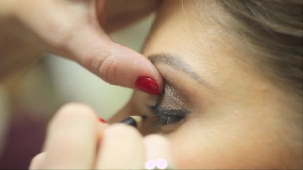 メイクアップ アーティストは女性の目を塗料します。 — ストック動画
