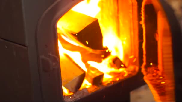 Das Holz in den Ofen stellen — Stockvideo