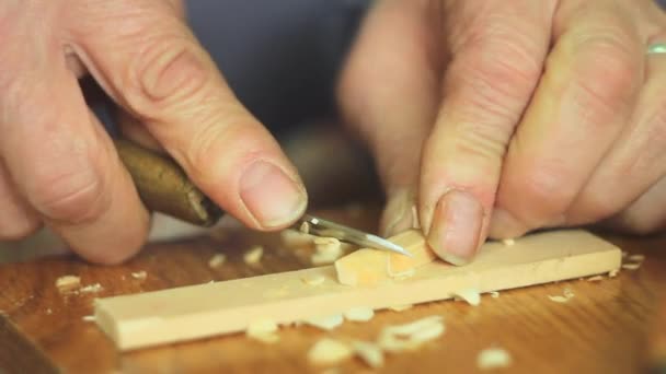 Um artesão esculpe madeira — Vídeo de Stock