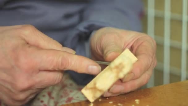 A craftsman carves wood — Stock Video