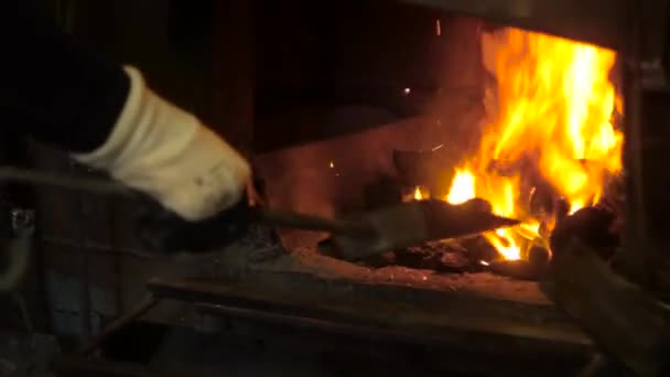 No forno colocar a madeira — Vídeo de Stock