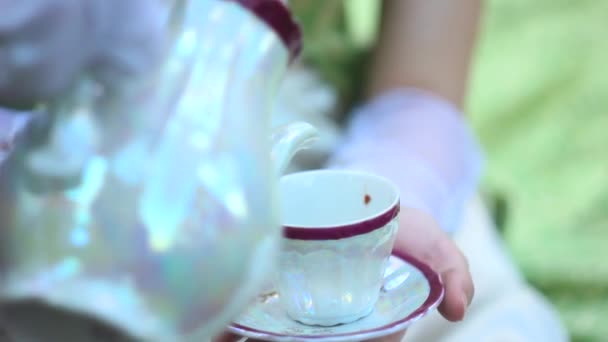 Аристократы пьют чай. — стоковое видео