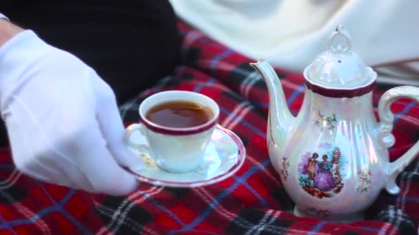 Аристократи пити чай — стокове відео