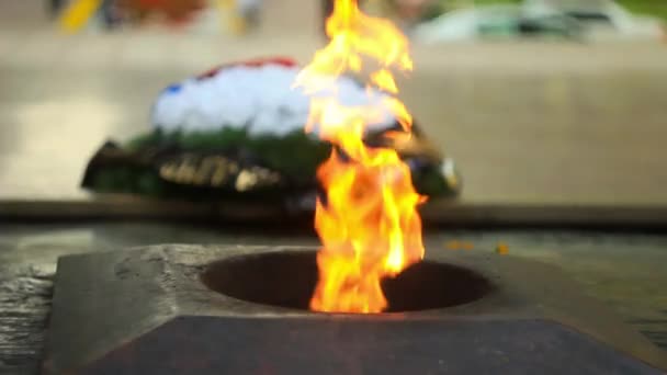 The eternal flame in Russia — Stock Video