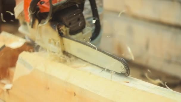 Saw sawing wood for home — Stock Video