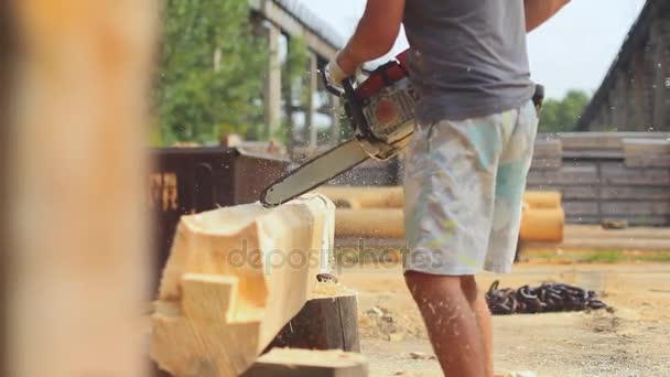 Scie à bois pour la maison — Video