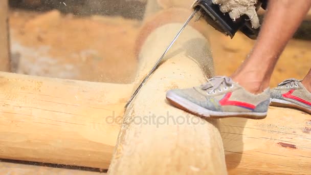 Piła, Przecieranie drewna dla domu — Wideo stockowe