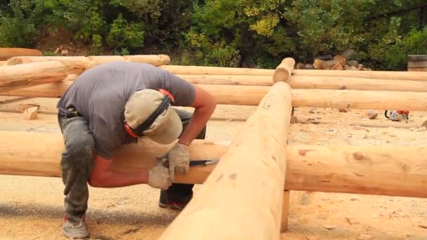 Madera cortada de leñador fuerte — Vídeos de Stock