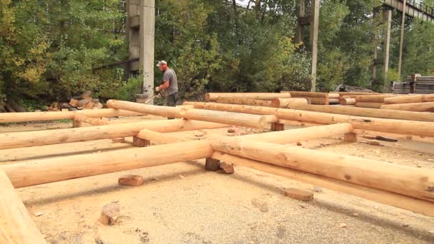 Saw sawing wood for home — Stock Video