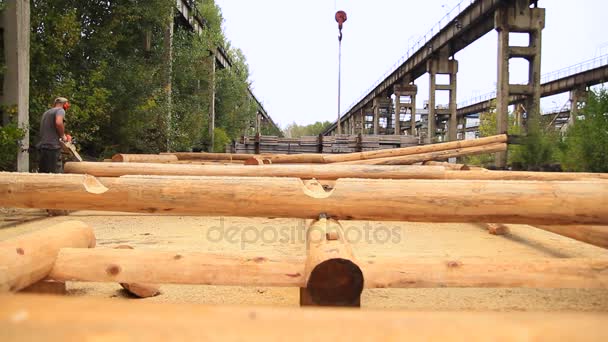 Bois de coupe de bûcheron fort — Video