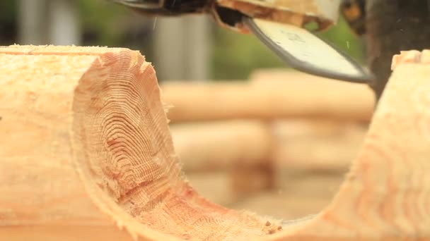 Zagen zagen van hout voor thuis — Stockvideo