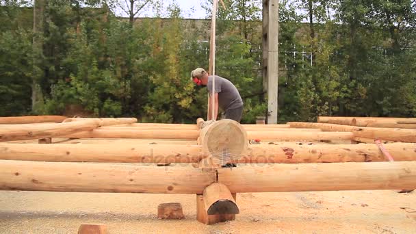 Starker Holzfäller hackt Holz — Stockvideo